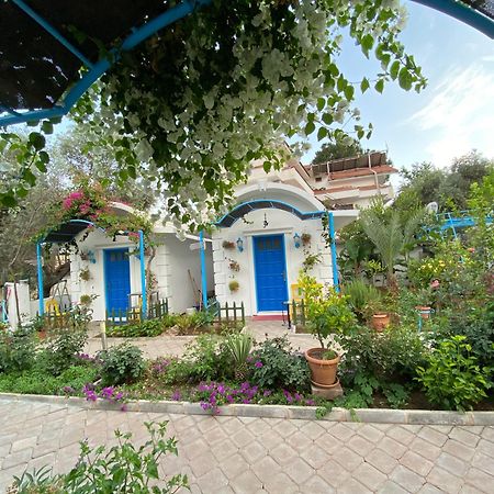 Sunmed Lodge Oludeniz Ngoại thất bức ảnh
