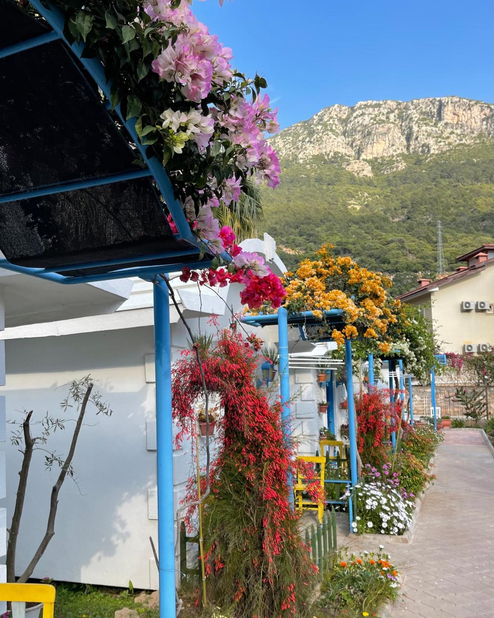 Sunmed Lodge Oludeniz Ngoại thất bức ảnh