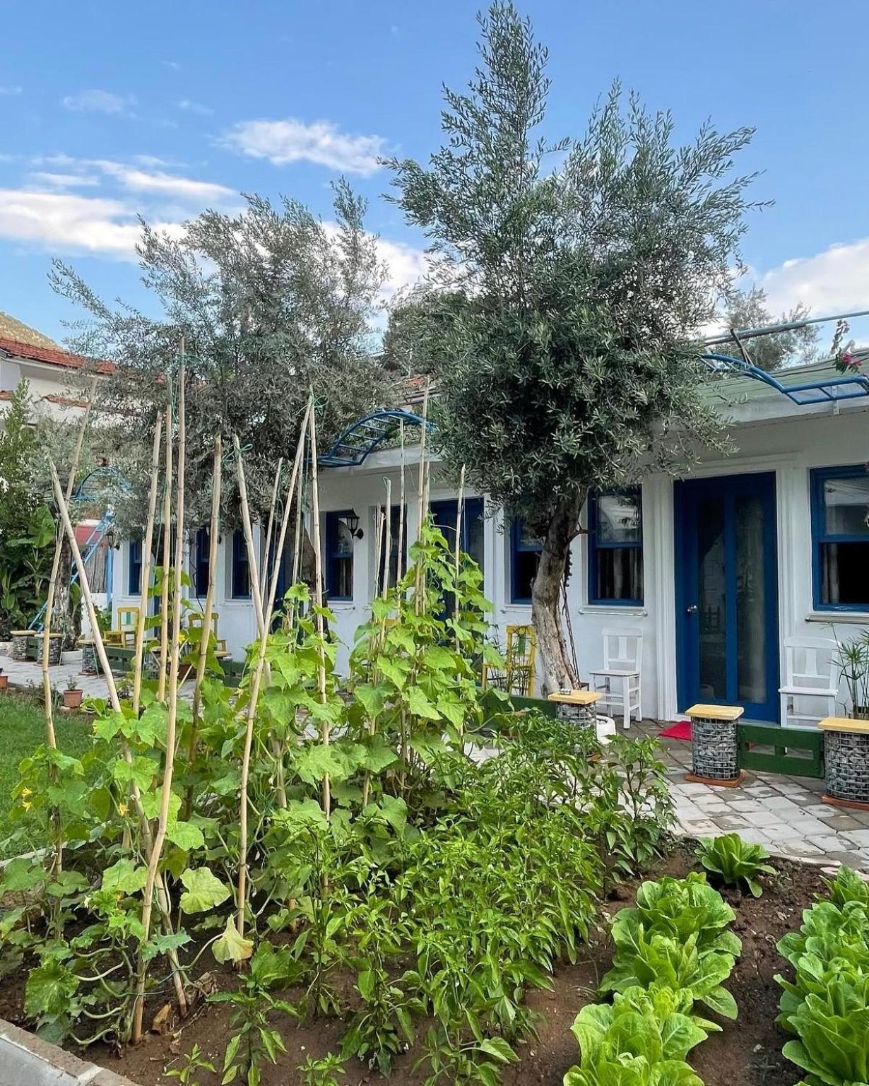 Sunmed Lodge Oludeniz Ngoại thất bức ảnh